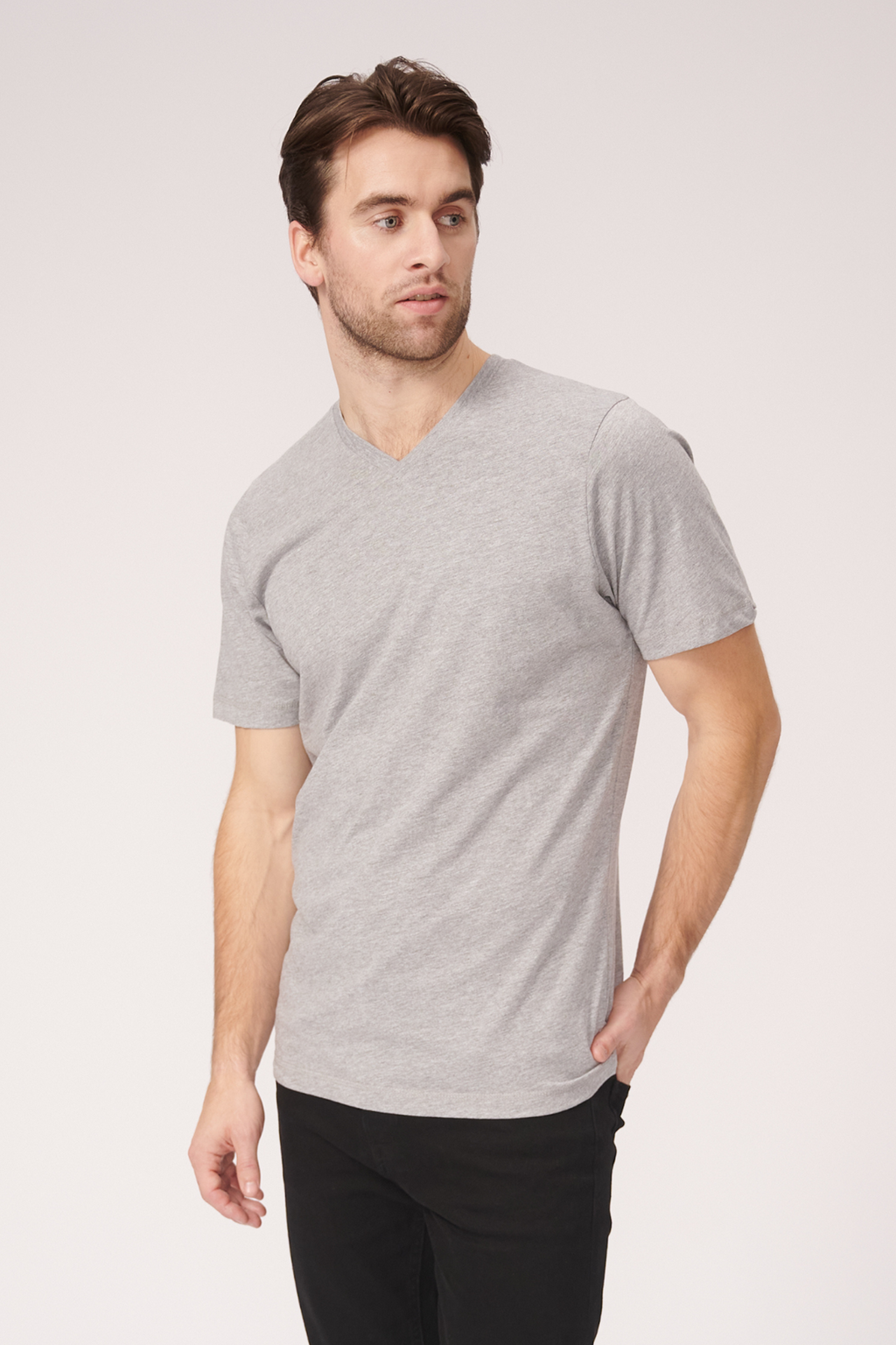 Basic Vneck T -Shirt - Oxford Gray